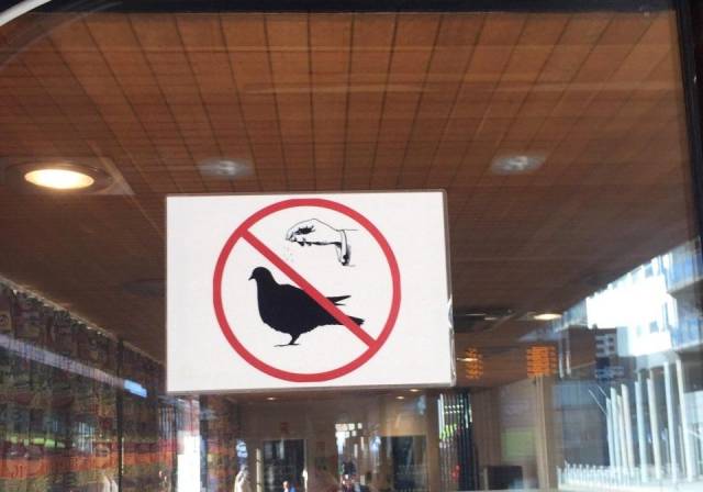 daily picdump weekend edition 76 pics 16.html - 76 HD Photos | Premium Gallery 2018