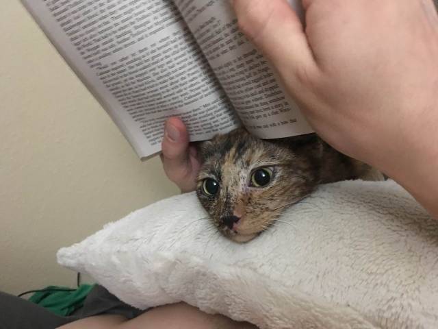 daily picdump weekend edition 76 pics 16.html - 76 HD Photos | Premium Gallery 2018