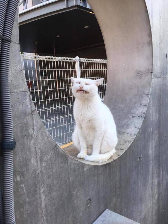 Daily Picdump [WEEKEND EDITION]