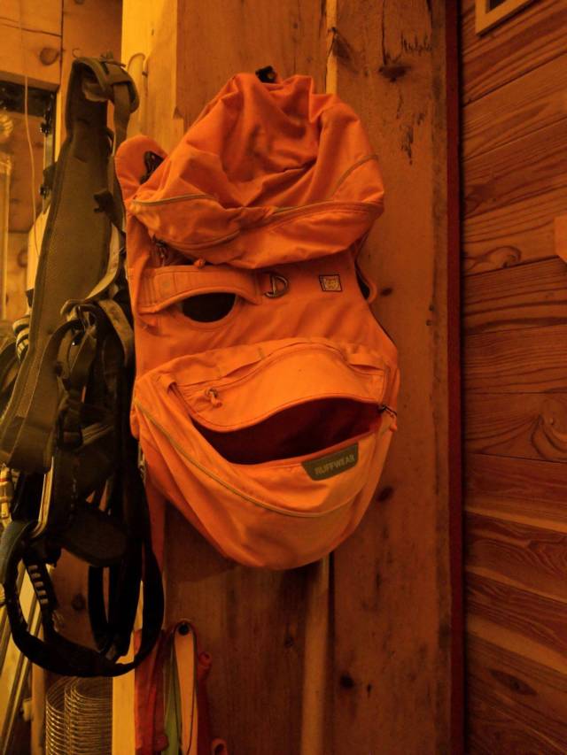 daily picdump weekend edition 76 pics 16.html - 76 HD Photos | Premium Gallery 2018