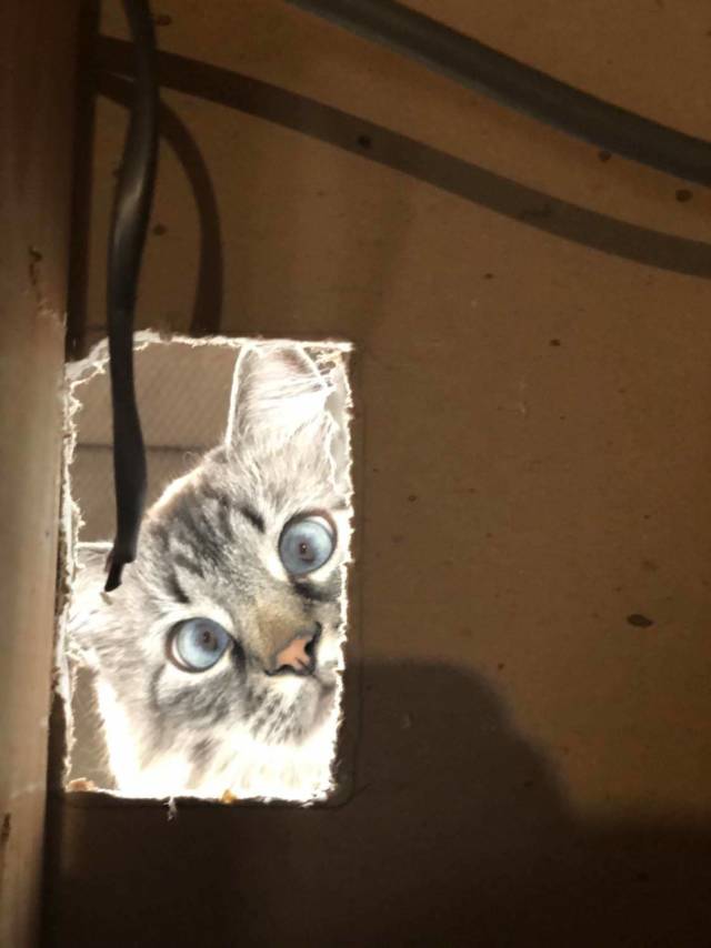 daily picdump weekend edition 76 pics 16.html - 76 HD Photos | Premium Gallery 2018