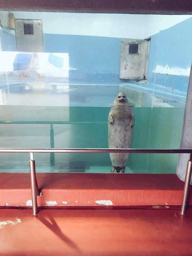 daily picdump weekend edition 76 pics 16.html - 76 HD Photos | Premium Gallery 2018