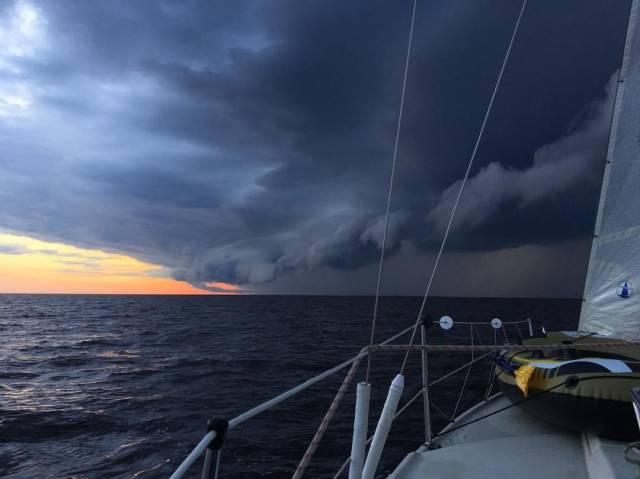 daily picdump 101 pics 46.html - 101 HD Photos | Premium Gallery 2018