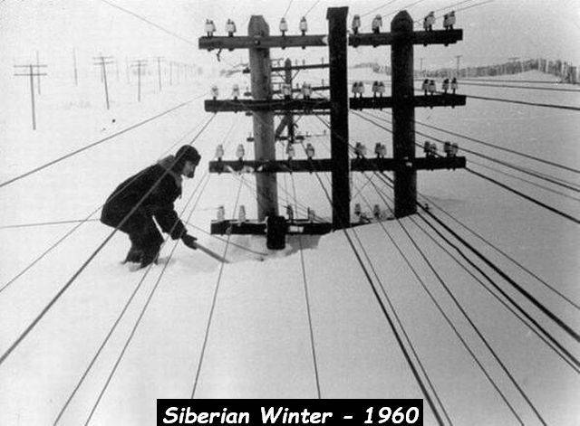 daily picdump 101 pics 46.html - 101 HD Photos | Premium Gallery 2018