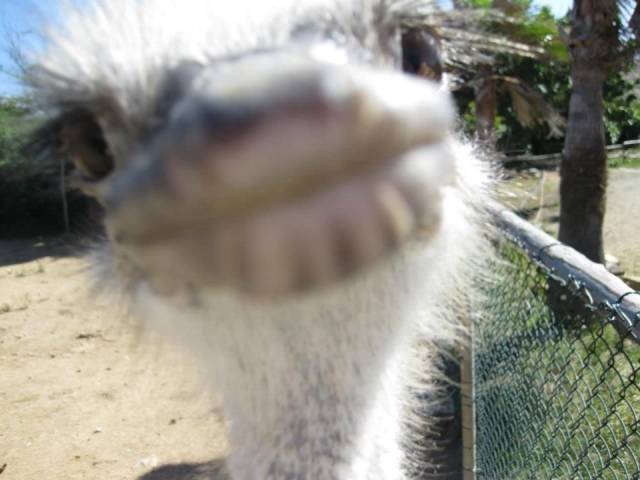 daily picdump 101 pics 46.html - 101 HD Photos | Premium Gallery 2018