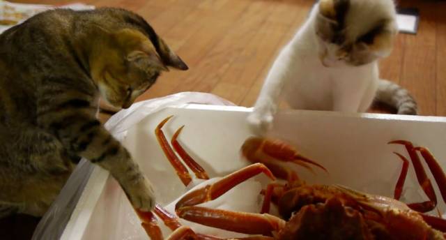 daily picdump 101 pics 46.html - 101 HD Photos | Premium Gallery 2018