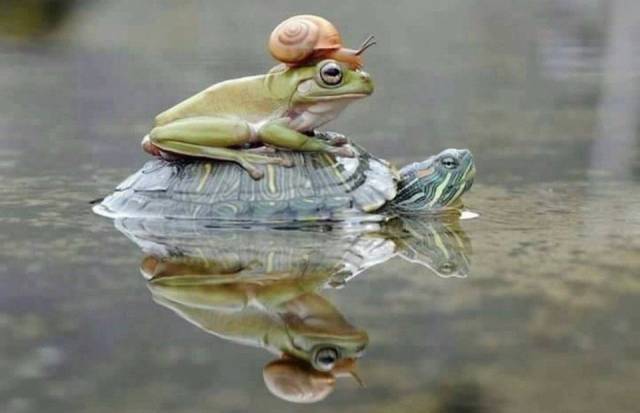 daily picdump 101 pics 46.html - 101 HD Photos | Premium Gallery 2018