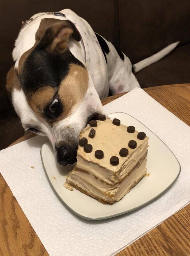 daily picdump 101 pics 46.html - 101 HD Photos | Premium Gallery 2018