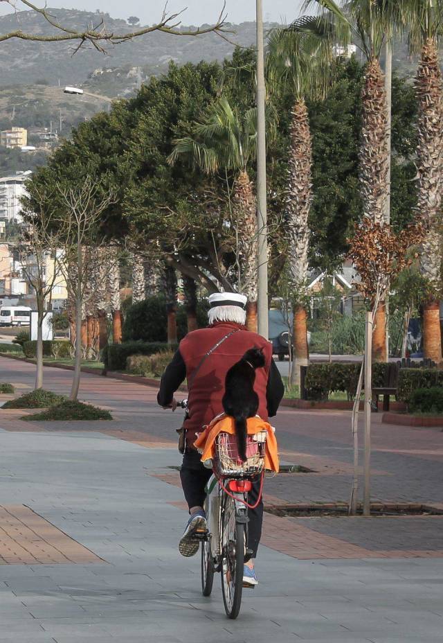 daily picdump 101 pics 46.html - 101 HD Photos | Premium Gallery 2018