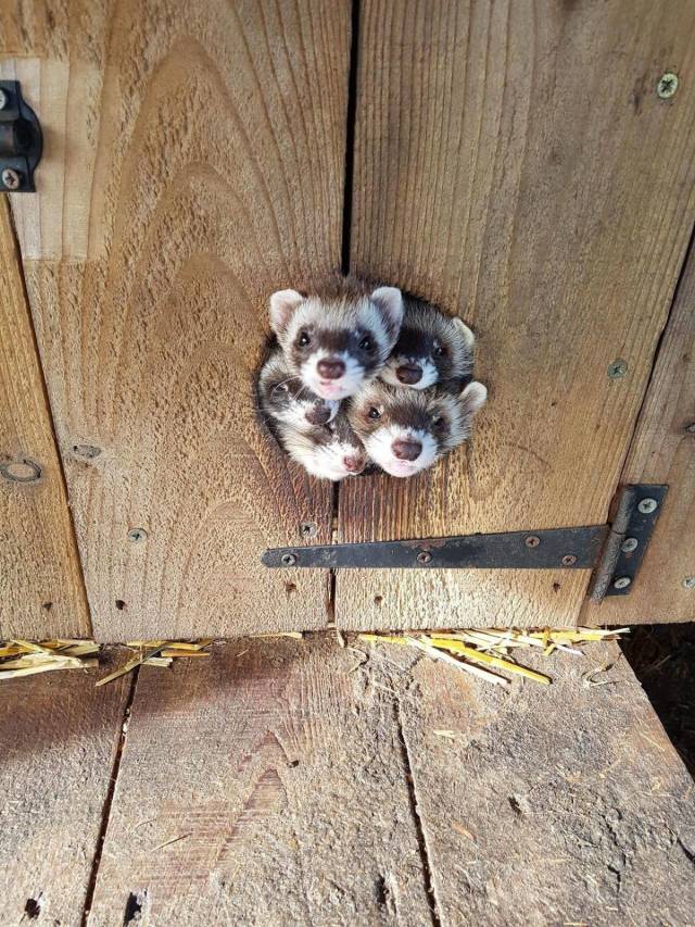 daily picdump 101 pics 46.html - 101 HD Photos | Premium Gallery 2018