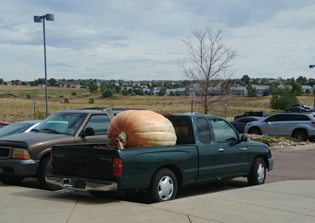 morning picdump 50 pics 14.html - 50 HD Photos | Premium Gallery 2018