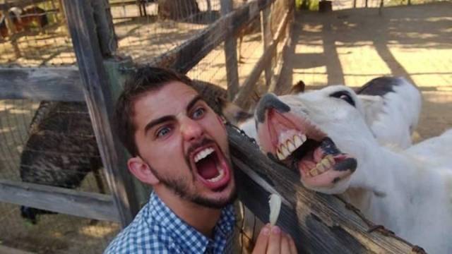 daily picdump 96 pics 31.html - 96 HD Photos | Premium Gallery 2018