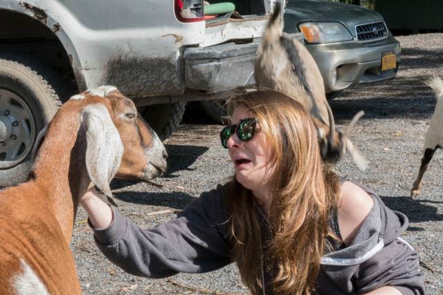 daily picdump 96 pics 31.html - 96 HD Photos | Premium Gallery 2018