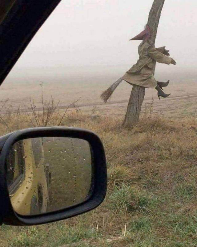 daily picdump 96 pics 31.html - 96 HD Photos | Premium Gallery 2018