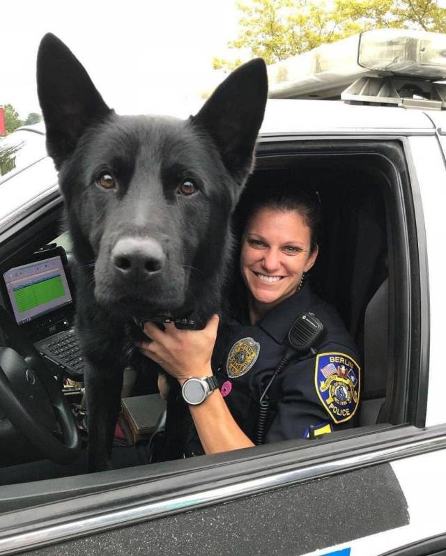 daily picdump 96 pics 31.html - 96 HD Photos | Premium Gallery 2018