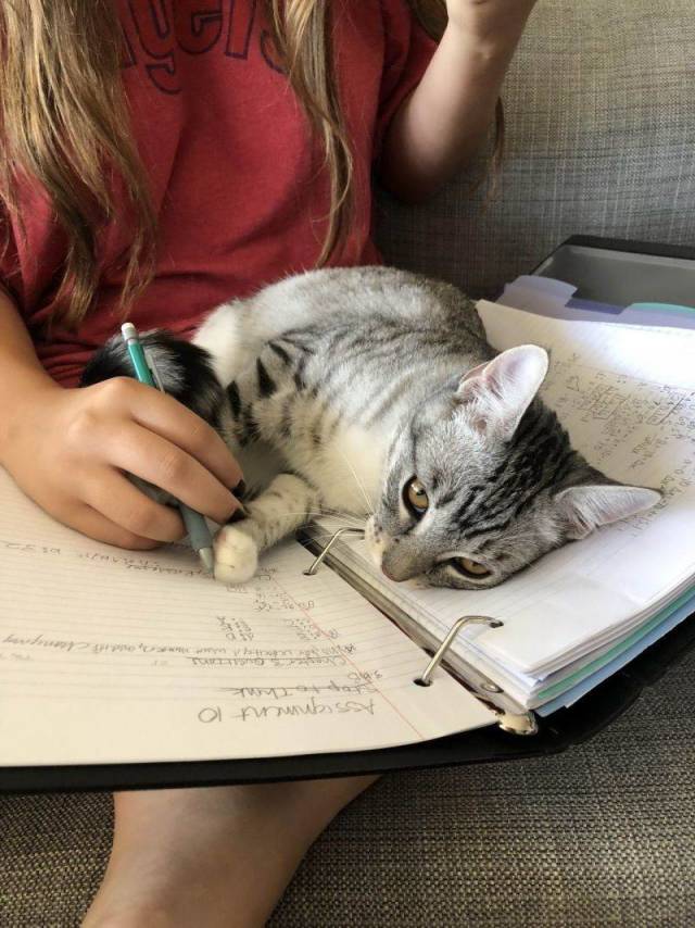 daily picdump 96 pics 31.html - 96 HD Photos | Premium Gallery 2018