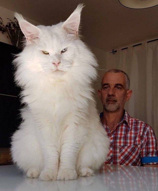 daily picdump 96 pics 31.html - 96 HD Photos | Premium Gallery 2018