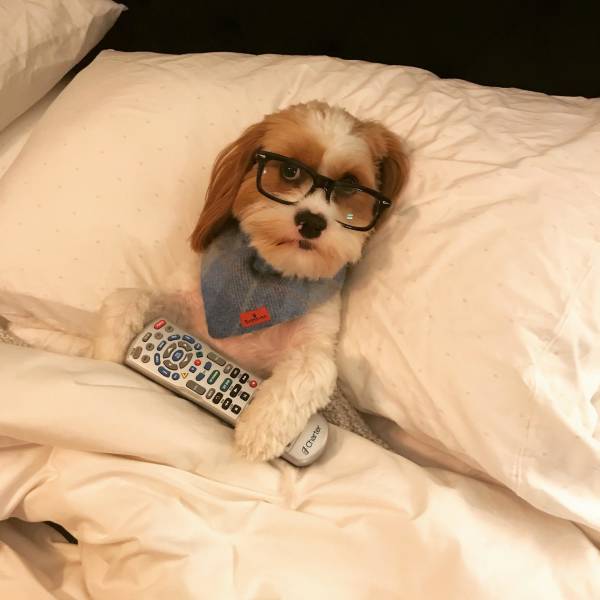 morning picdump 51 pics 3.html - 51 HD Photos | Premium Gallery 2018