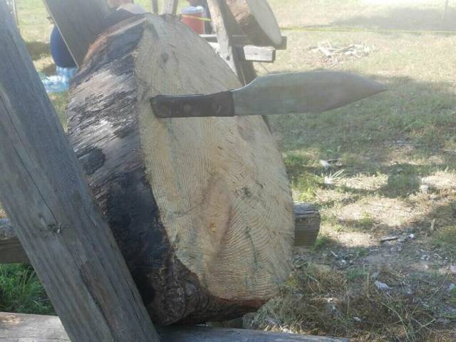 morning picdump 51 pics 3.html - 51 HD Photos | Premium Gallery 2018