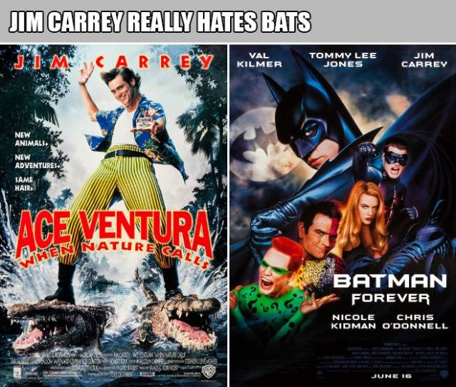 Two Movies, Same Description