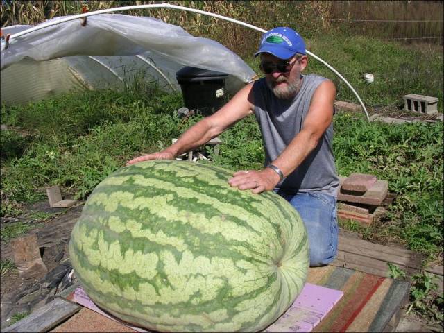 daily picdump 96 pics 16.html - 96 HD Photos | Premium Gallery 2018