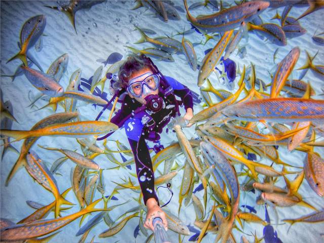 daily picdump 96 pics 16.html - 96 HD Photos | Premium Gallery 2018