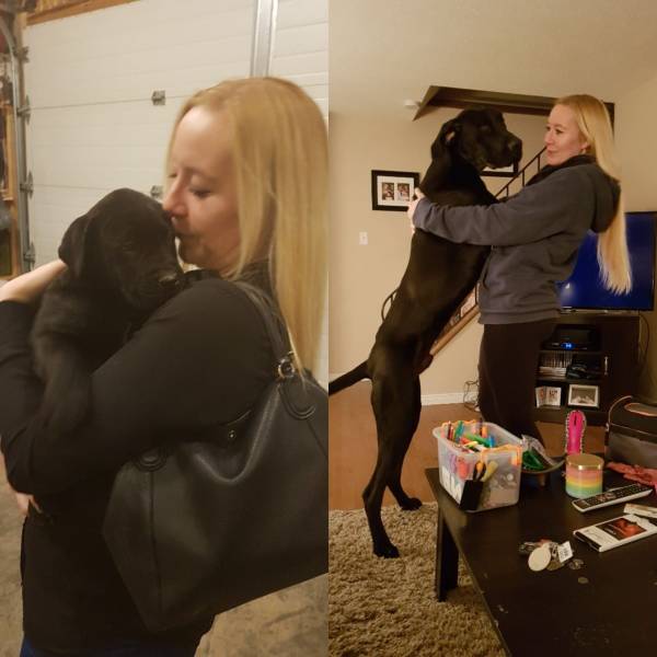 daily picdump 96 pics 16.html - 96 HD Photos | Premium Gallery 2018