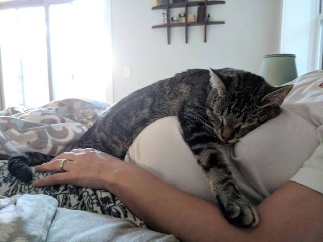 daily picdump 96 pics 16.html - 96 HD Photos | Premium Gallery 2018