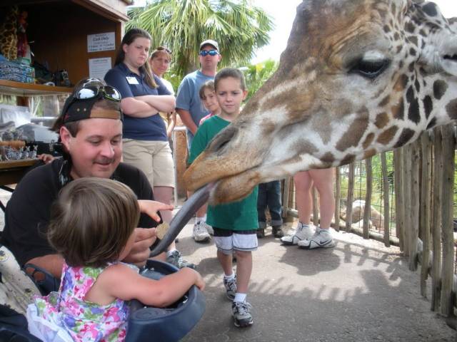 daily picdump 96 pics 16.html - 96 HD Photos | Premium Gallery 2018