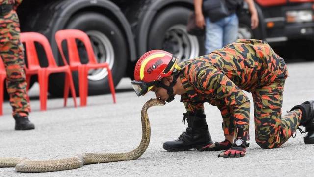 daily picdump 96 pics 16.html - 96 HD Photos | Premium Gallery 2018