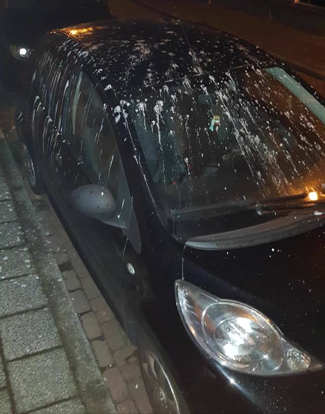 morning picdump 50 pics 24.html - 50 HD Photos | Premium Gallery 2018