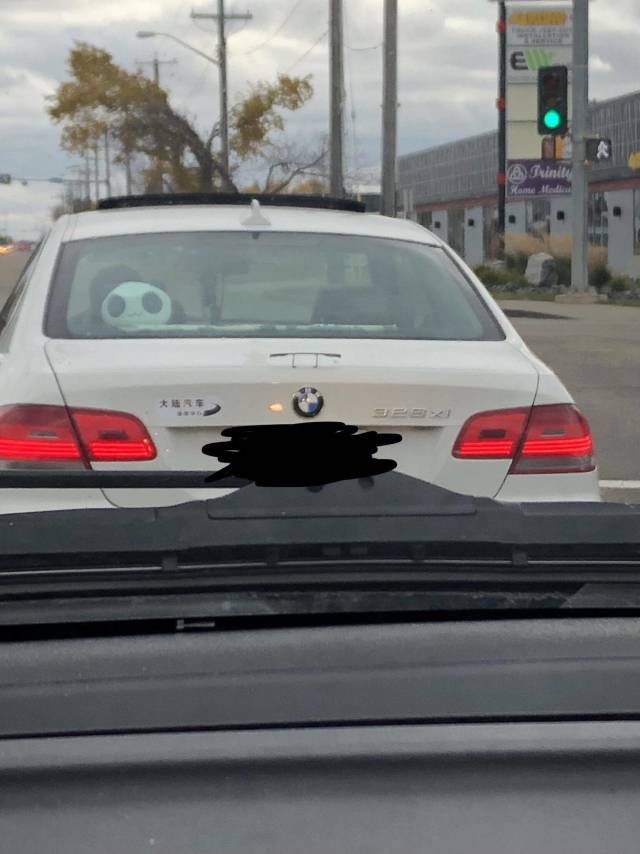 morning picdump 50 pics 24.html - 50 HD Photos | Premium Gallery 2018