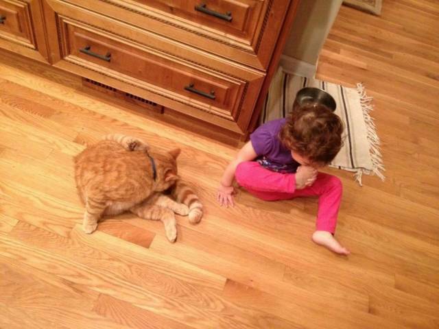 daily picdump 90 pics 4.html - 90 HD Photos | Premium Gallery 2018