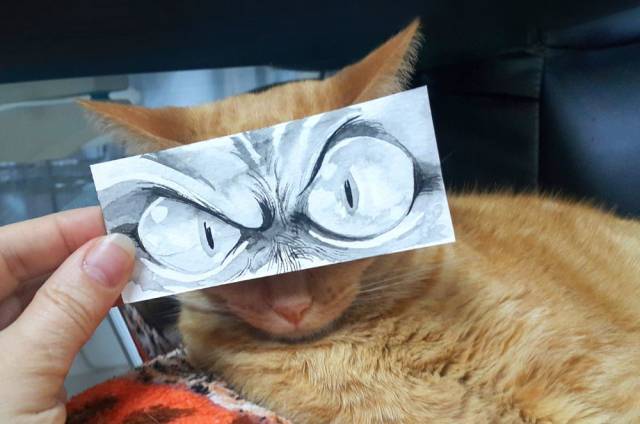 daily picdump 90 pics 4.html - 90 HD Photos | Premium Gallery 2018