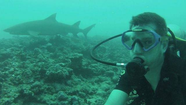 daily picdump 90 pics 4.html - 90 HD Photos | Premium Gallery 2018