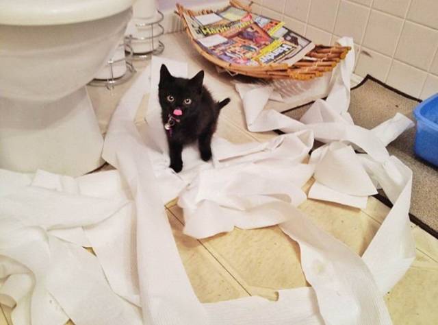 daily picdump 90 pics 4.html - 90 HD Photos | Premium Gallery 2018