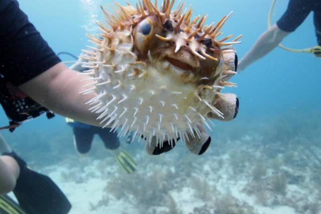 daily picdump 90 pics 4.html - 90 HD Photos | Premium Gallery 2018