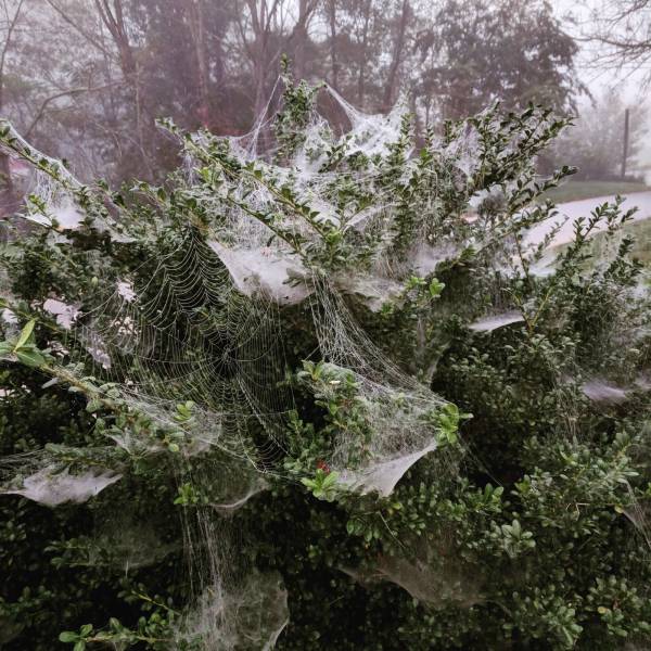 daily picdump 90 pics 4.html - 90 HD Photos | Premium Gallery 2018