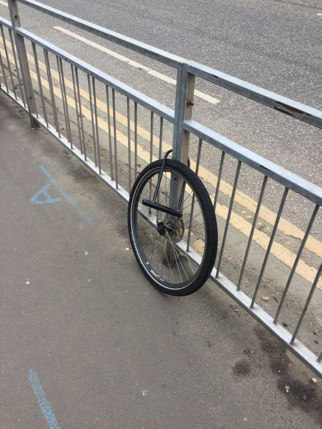 daily picdump 90 pics 4.html - 90 HD Photos | Premium Gallery 2018