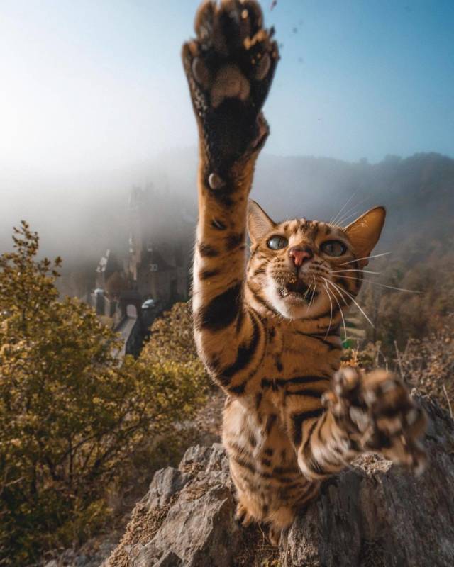 daily picdump 90 pics 4.html - 90 HD Photos | Premium Gallery 2018