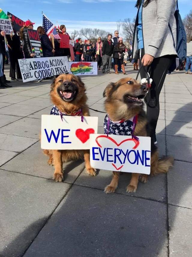 daily picdump 90 pics 4.html - 90 HD Photos | Premium Gallery 2018