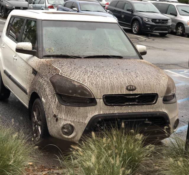 morning picdump 50 pics 9.html - 50 HD Photos | Premium Gallery 2018