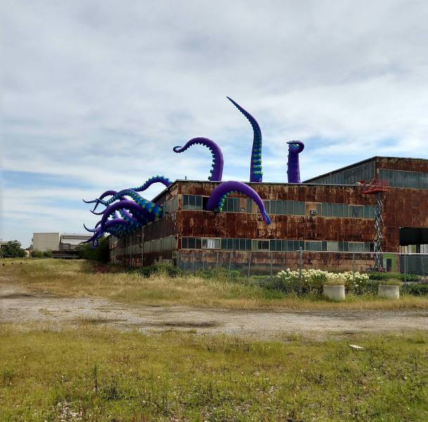 morning picdump 50 pics 9.html - 50 HD Photos | Premium Gallery 2018