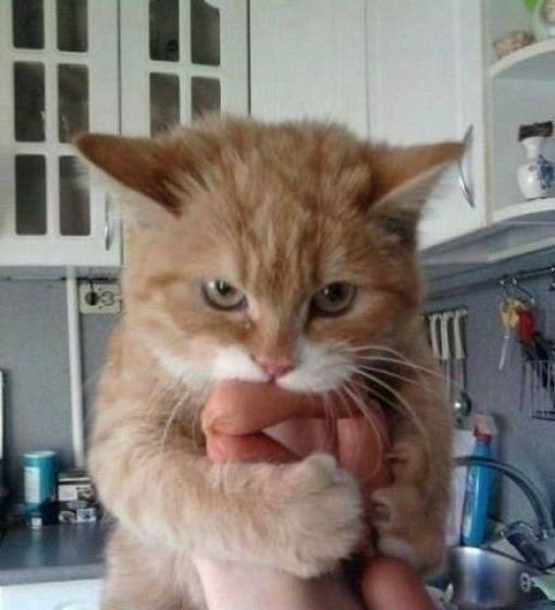 Daily Picdump [WEEKEND EDITION]