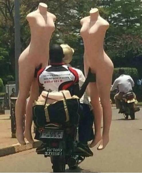 Daily Picdump [WEEKEND EDITION]