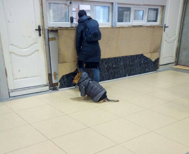 daily picdump weekend edition 50 pics 17.html - 50 HD Photos | Premium Gallery 2018