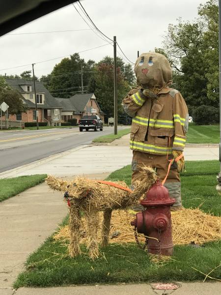 daily picdump weekend edition 50 pics 17.html - 50 HD Photos | Premium Gallery 2018