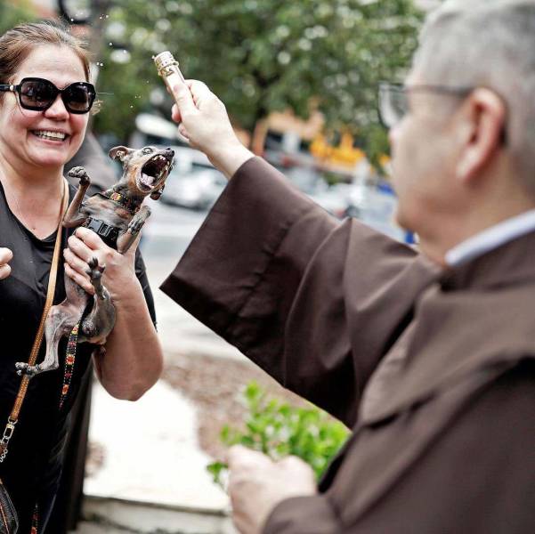 daily picdump weekend edition 50 pics 17.html - 50 HD Photos | Premium Gallery 2018