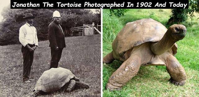 daily picdump 94 pics 39.html - 94 HD Photos | Premium Gallery 2018