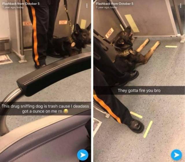 daily picdump 94 pics 39.html - 94 HD Photos | Premium Gallery 2018